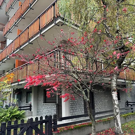 The Queen In The Snow *